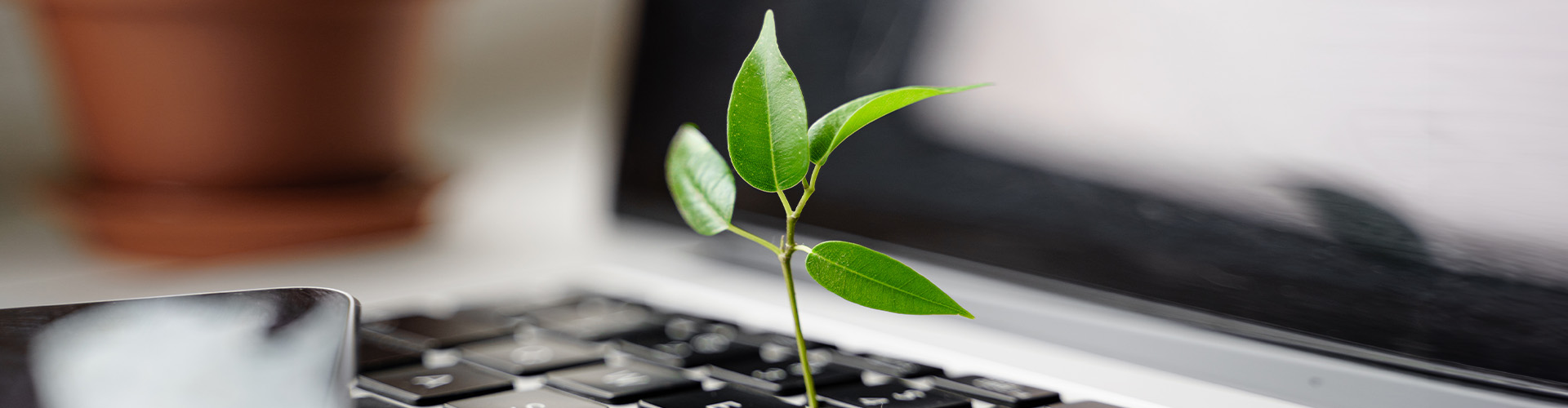 Transformer les Achats pour un Développement Durable
Avec nos solutions, engagez-vous activement pour un avenir plus vert et durable. Optimisez vos processus d’achat tout en contribuant à un monde meilleur.